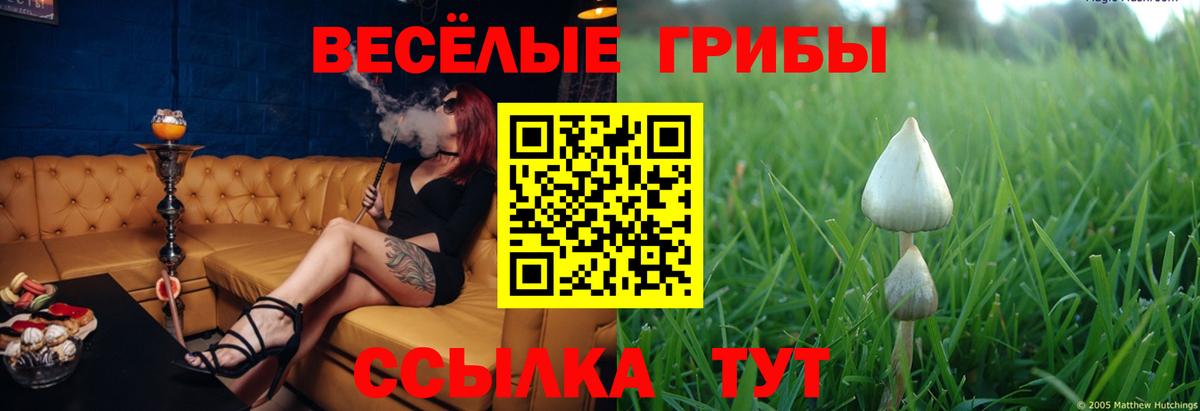 Коломна  Псилоцибиновые грибы ЛСД  Вход с VPN  Галлюциногенные грибы Psilocybe 